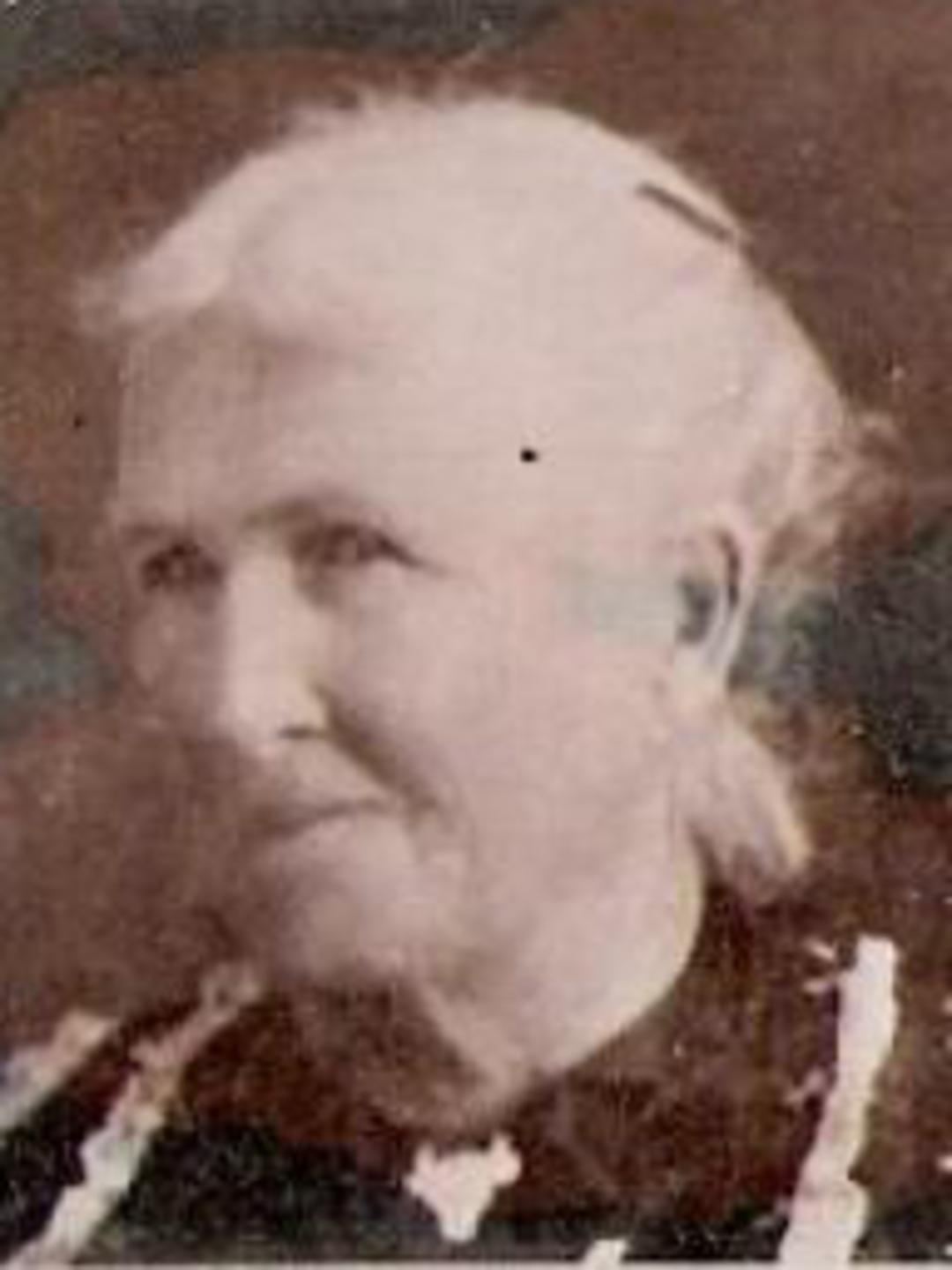 Margaret Scott (1841 - 1916) Profile